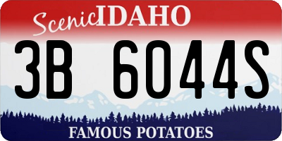 ID license plate 3B6044S