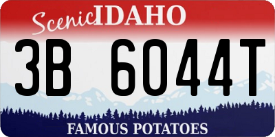 ID license plate 3B6044T