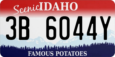 ID license plate 3B6044Y