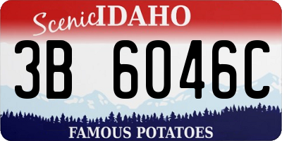 ID license plate 3B6046C