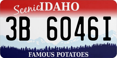 ID license plate 3B6046I