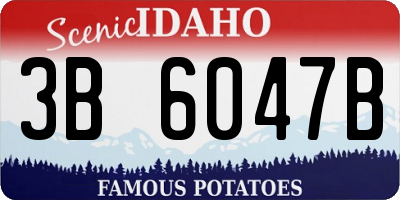 ID license plate 3B6047B