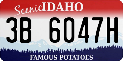 ID license plate 3B6047H