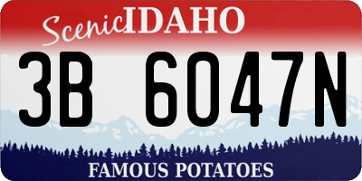 ID license plate 3B6047N