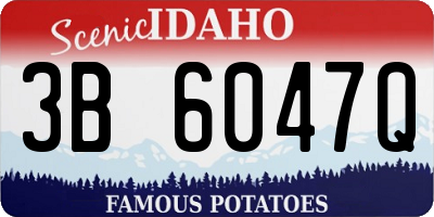 ID license plate 3B6047Q