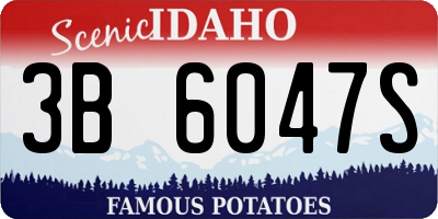 ID license plate 3B6047S