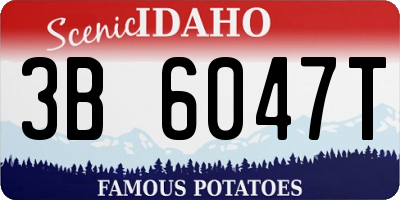 ID license plate 3B6047T
