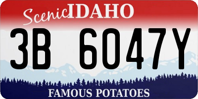 ID license plate 3B6047Y