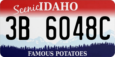 ID license plate 3B6048C