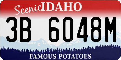 ID license plate 3B6048M