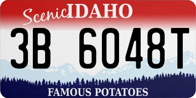 ID license plate 3B6048T