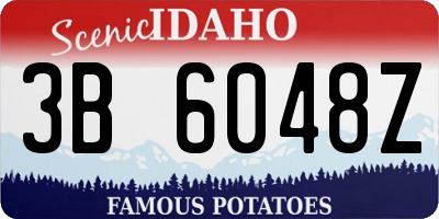 ID license plate 3B6048Z