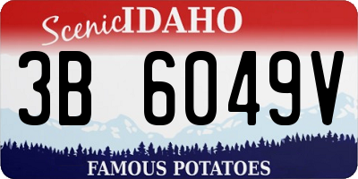 ID license plate 3B6049V