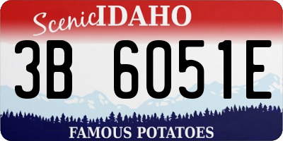 ID license plate 3B6051E