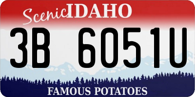 ID license plate 3B6051U