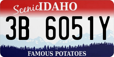 ID license plate 3B6051Y