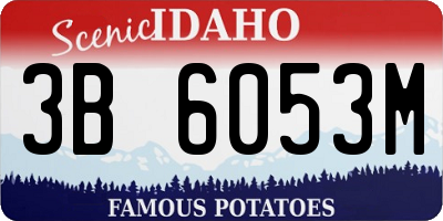 ID license plate 3B6053M