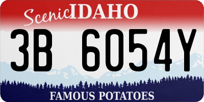 ID license plate 3B6054Y