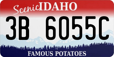 ID license plate 3B6055C