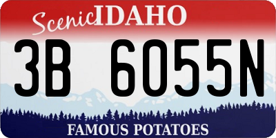 ID license plate 3B6055N