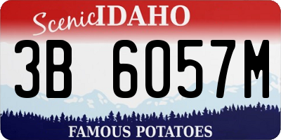 ID license plate 3B6057M