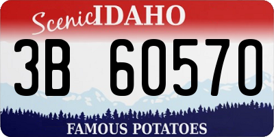 ID license plate 3B6057O
