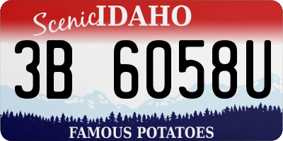 ID license plate 3B6058U