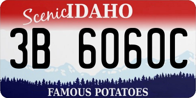 ID license plate 3B6060C