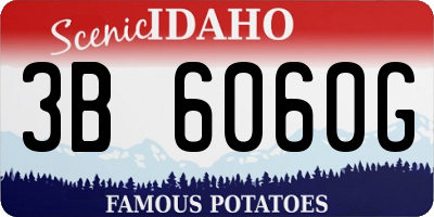 ID license plate 3B6060G