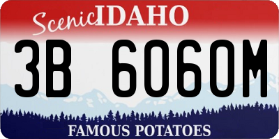 ID license plate 3B6060M