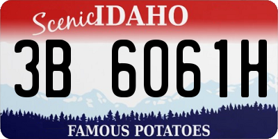 ID license plate 3B6061H