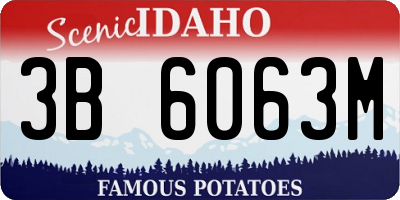 ID license plate 3B6063M