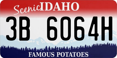 ID license plate 3B6064H