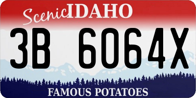 ID license plate 3B6064X