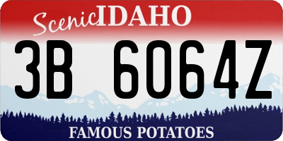 ID license plate 3B6064Z