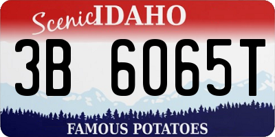 ID license plate 3B6065T