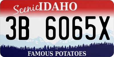 ID license plate 3B6065X
