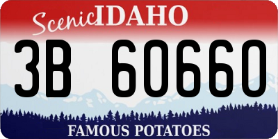 ID license plate 3B6066O