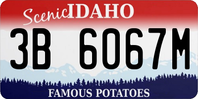 ID license plate 3B6067M