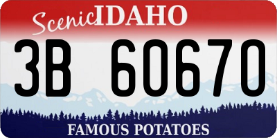 ID license plate 3B6067O