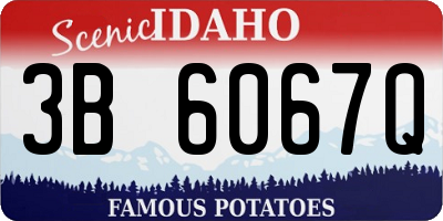 ID license plate 3B6067Q