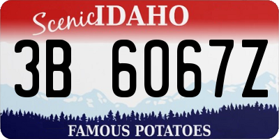 ID license plate 3B6067Z