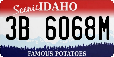 ID license plate 3B6068M