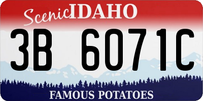 ID license plate 3B6071C