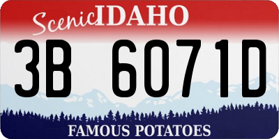 ID license plate 3B6071D