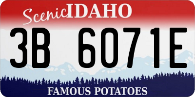 ID license plate 3B6071E