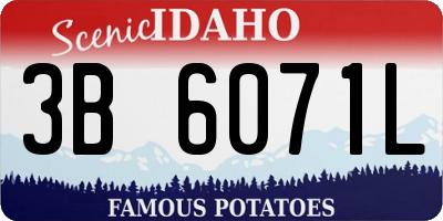 ID license plate 3B6071L