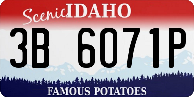 ID license plate 3B6071P