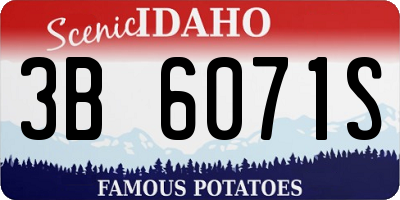 ID license plate 3B6071S