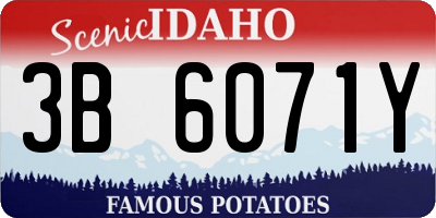 ID license plate 3B6071Y